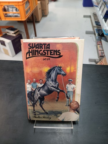 SVARTA HINGSTENS SON