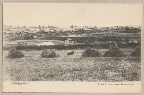 HÖNSARFVET Ernst G. Andersson, Domnarfvet Domarvet .