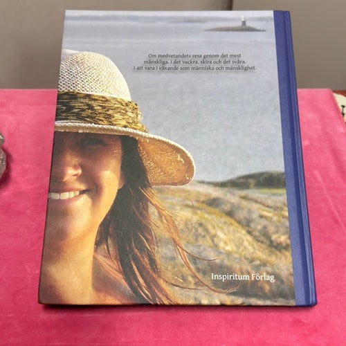 Visst är vi Ett V.I.P med Sköra Skott av Susanne Sushima Källström
