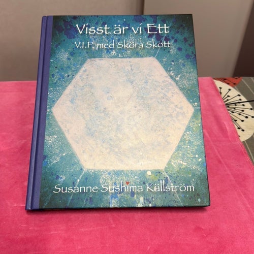 Visst är vi Ett V.I.P med Sköra Skott av Susanne Sushima Källström