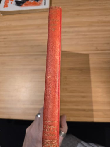Antik äventyrsbok: St. Markus-Lejonet av G.A. Henty (1896) Illustrerad