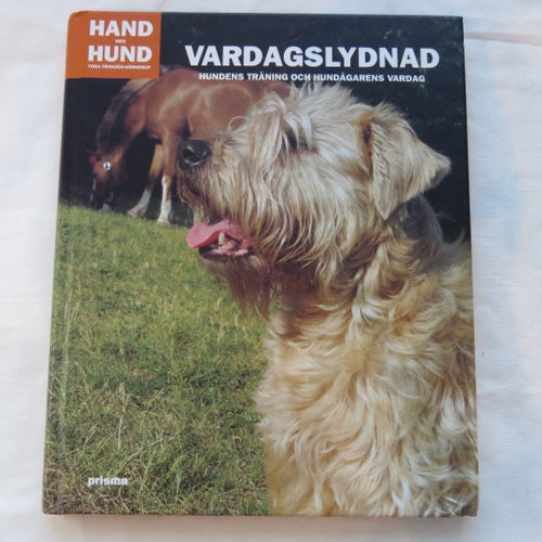 Vardagslydnad - Yrsa Franzén-Görnerup