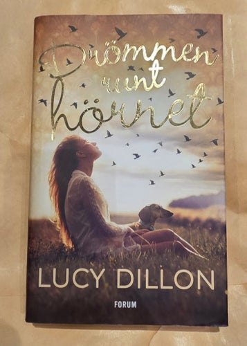 Drömmen runt hörnet - Lucy Dillon Inbunden