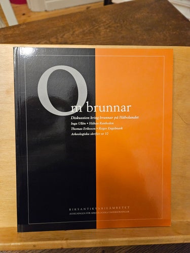Om brunnar - diskussion kring brunnar på Håbolandet