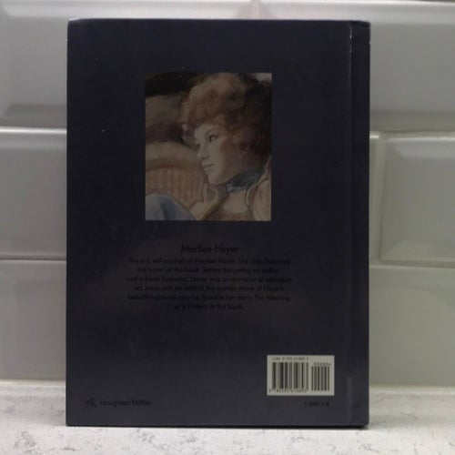 Fast as the Wind, Houghton Mifflin Company, 1993 eng text inbunden