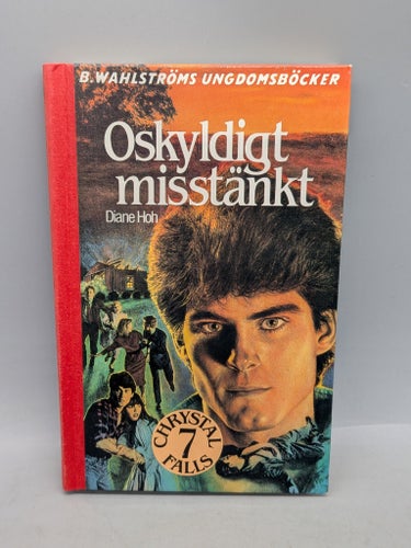Oskyldigt misstänkt av Diane Hoh