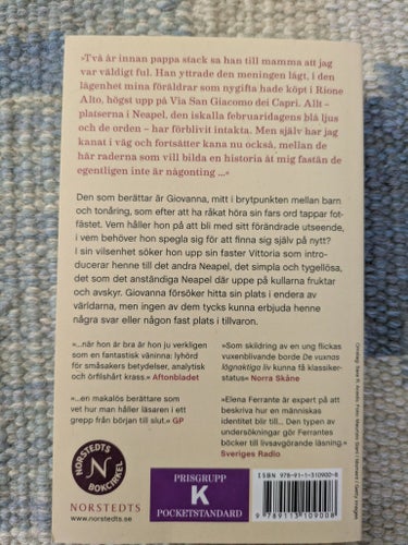 De vuxnas lögnaktiga liv av Elena Ferrante, 2020