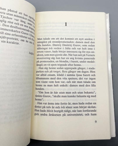 Damen med hunden / Duellen av Anton Tjechov (Bra Klassiker)