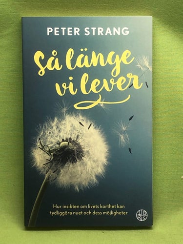Så länge vi lever hur insikten om livets korthet kan tydliggöra nuet och dess mö