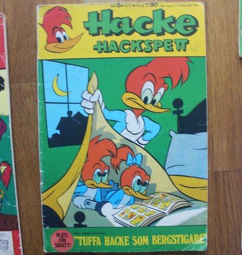 HACKE HACKSPETT 1973 NR 6