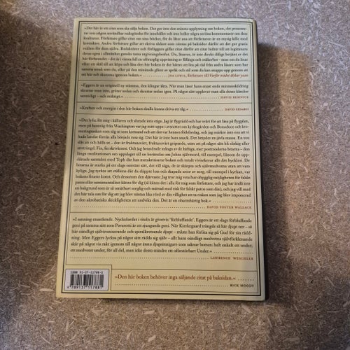 Ett hjärtslitande verk av förbluffande genialitet av Dave Eggers