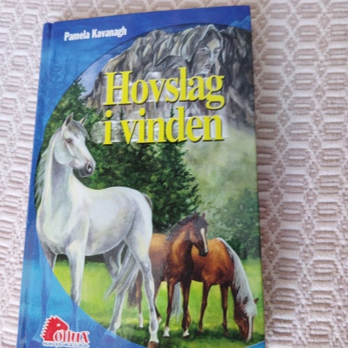 Hovslag i vinden av Pamela Kavanagh