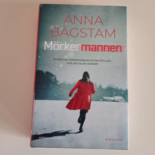 Mörkermannen av Anna Bågstam, 2020