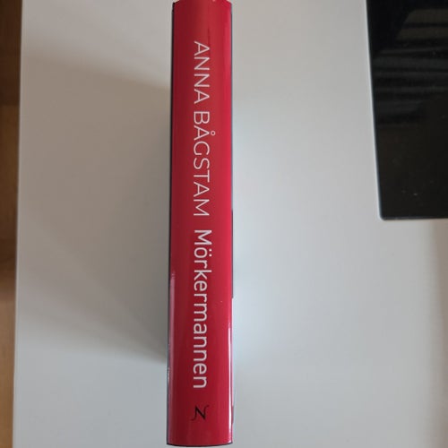 Mörkermannen av Anna Bågstam, 2020