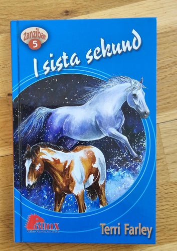 BOK. TERRY FARLEY - I SISTA SEKUND. ZANZIBAR 5.