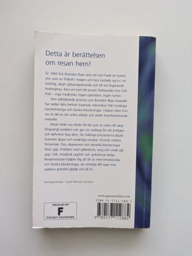 Syster min - Barbara Voors