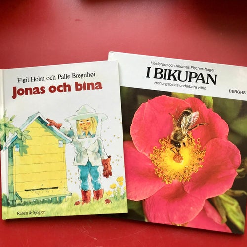 JONAS OCH BINA + I BIKUPAN HONUNGSBINAS UNDERBARA VÄRLD