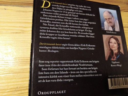 Det brinnande havet av Erik Eriksson, Svensk historisk roman - I krig mot ryssen