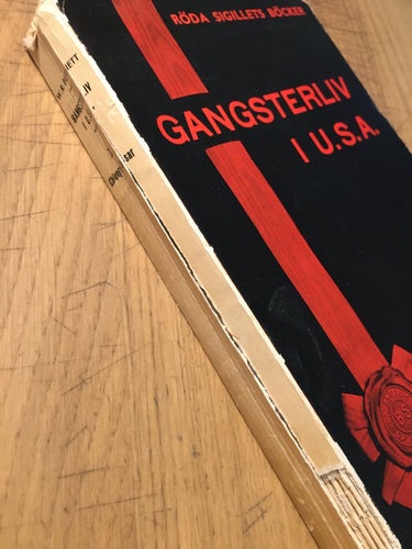 Gangsterliv i USA, W. R. Burnett