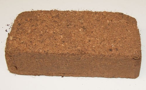 Kokosfiber Coir block 650 g - tvättad 10 st block