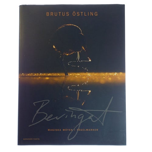 Brutus Östling - Bevingat : Magiska möten i fågelmarker