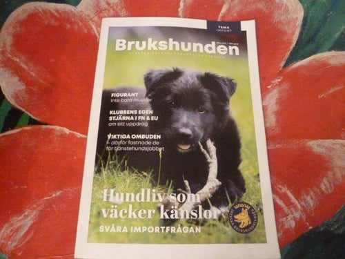 BRUKSHUNDEN, NR 6 - 2019, TIDNING