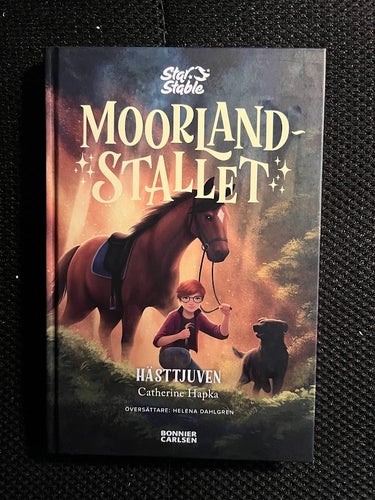 Moorland-stallet: Hästtjuven av Catherine Hapka