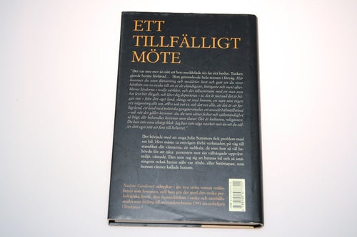 Nadine Gordimer - Ett tillfälligt möte
