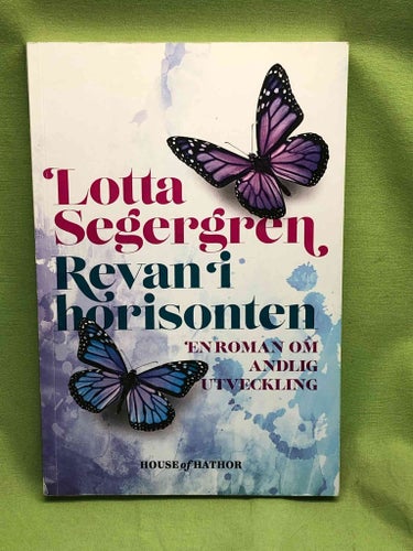 Revan i horisonten en roman om andlig utveckling / Seger, Lee