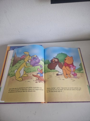 Disney's Nalle Puh: Den stora skattjakten & Stora, lilla Ru!