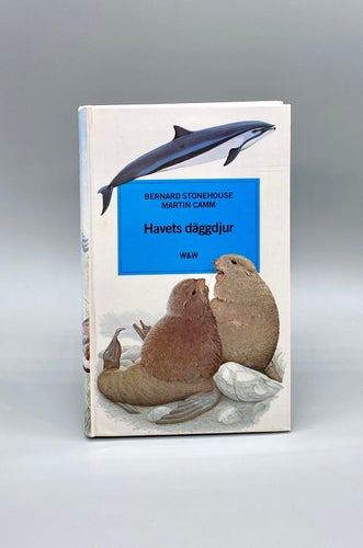 Havets däggdjur av Bernard Stonehouse - Martin Camm