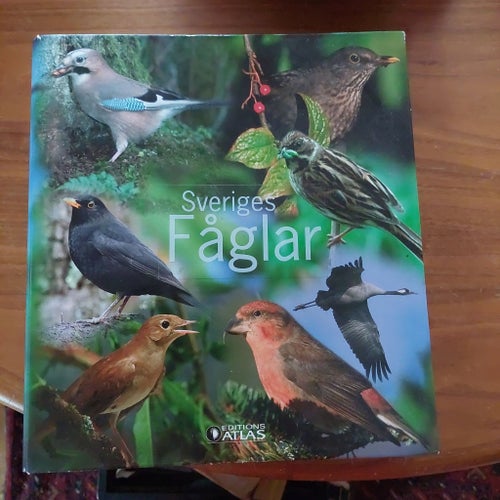 Sveriges Fåglar