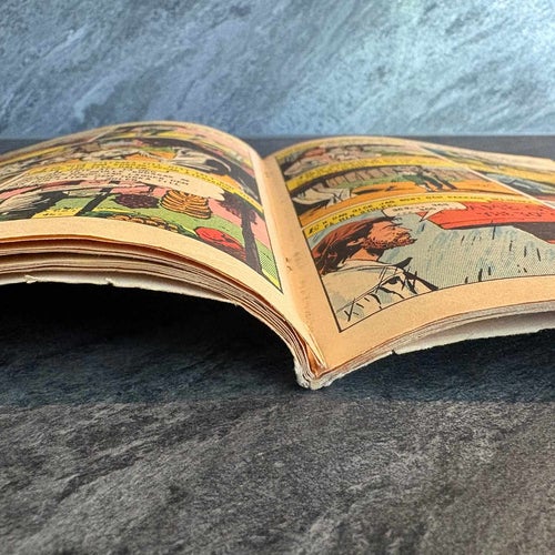 Illustrerade Klassiker Nr 31