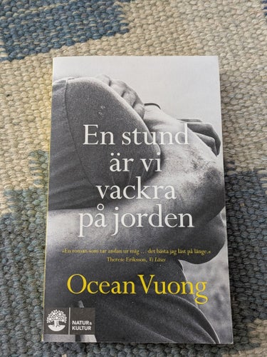 En stund är vi vackra på jorden av Ocean Vuong, 2020