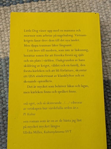 En stund är vi vackra på jorden av Ocean Vuong, 2020