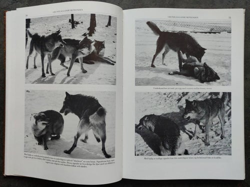 Problemhund och hundproblem. Bok Hundpsykologi 6:e utgåvan 2004.