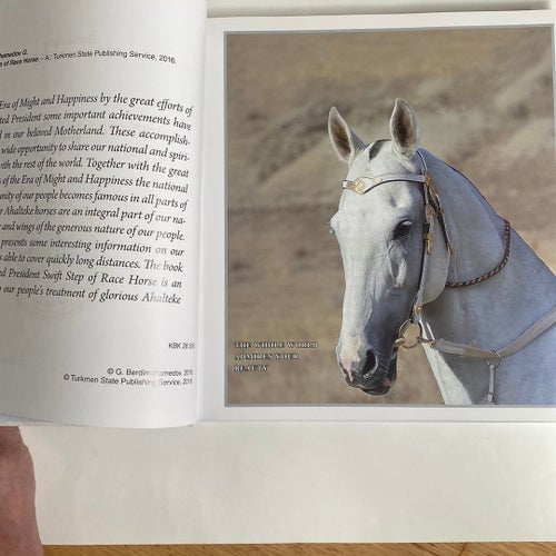 Swift Step of Race Horse av Gurbanguly Berdimuhamedov, 2016