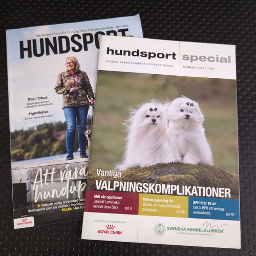Hundsport Tidningar - 2022