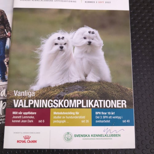 Hundsport Tidningar - 2022