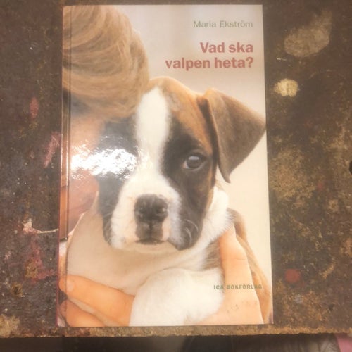Vad ska valpen heta? av Maria Ekström