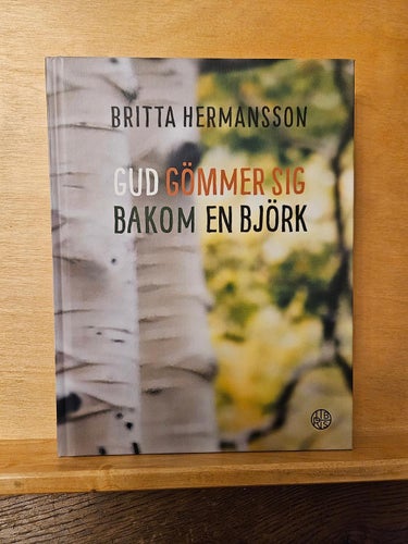 Gud gömmer sig bakom en björk, Britta Hermansson