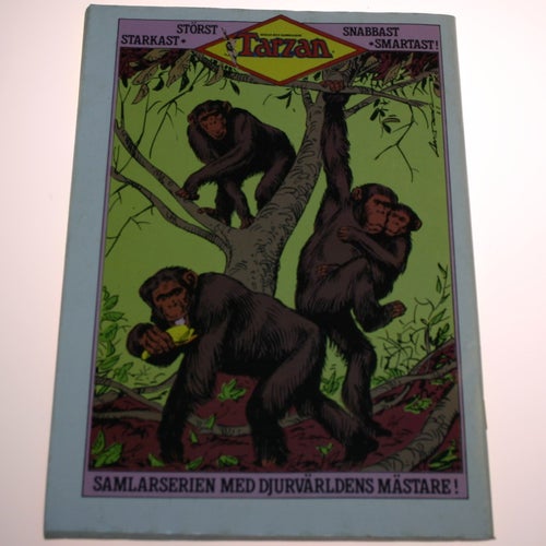 Tarzan - 1984 - NR 7