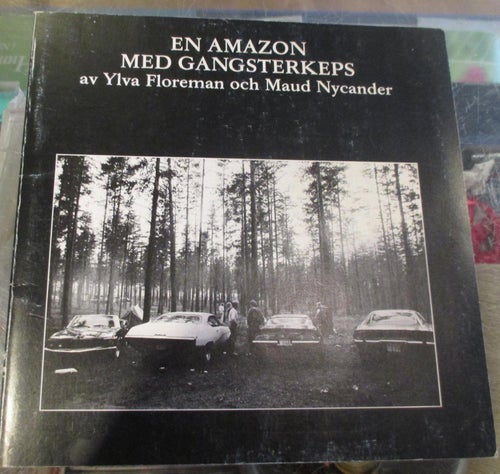 En Amazon med gangsterkeps, Ylva Floreman och Maud Nicander, Bilar från Örebro