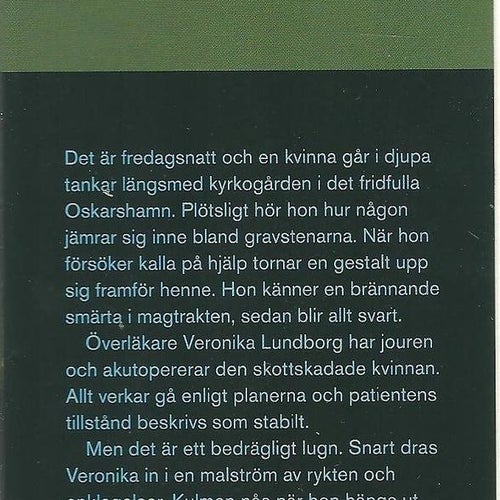 Tröstaren - Karin Wahlberg - Inbunden bok