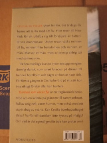 Kvinnan som var en fyr av Viveca Lärn, 1999