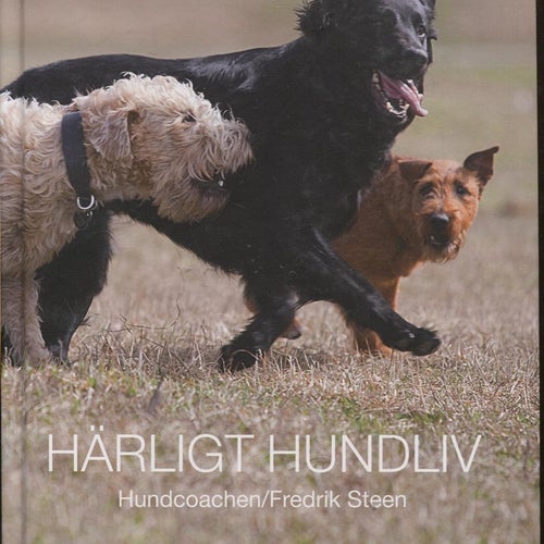 Härligt hundliv