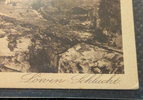 Koologischer Garten Elberfeld ,Löwen Schlucht. ( Lejon Ravinen)