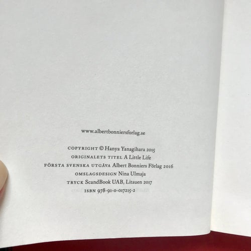 ETT LITET LIV Hanya Yanagihara 2017