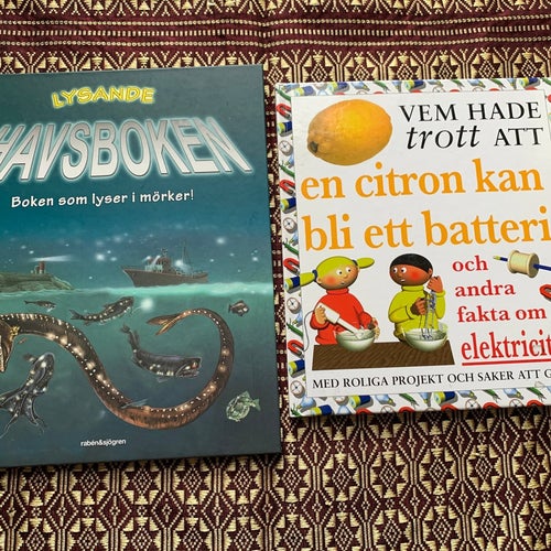 2 barnböcker Lysande Havsboken och Vem hade trott