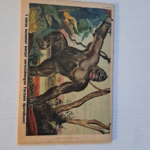Tarzan Nr 2, 1951